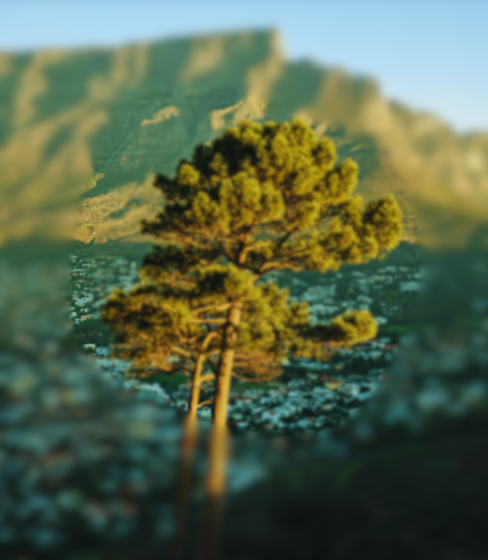 Kayo-partners-AFRICAVERT-visuel
